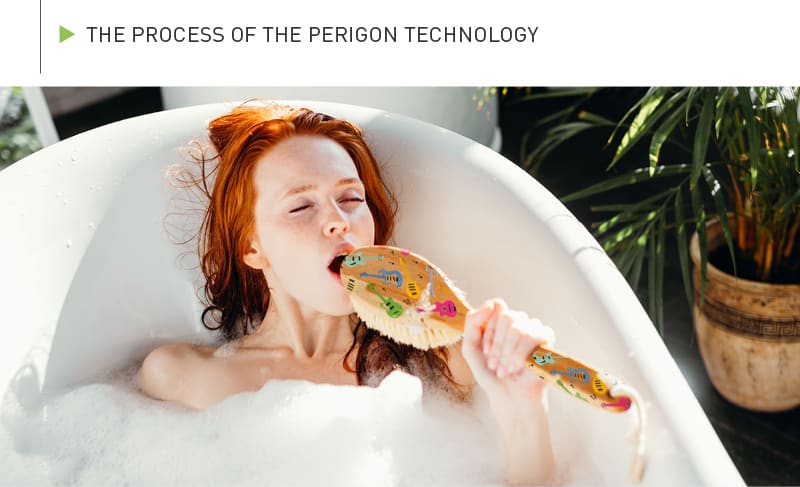 The process of the Perigon technology
